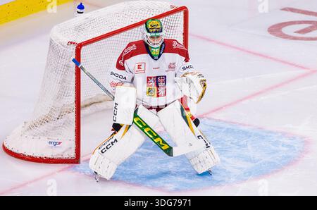 Goalkeeper Dominik Pavlat of Czech Republic during the IIHF World ...