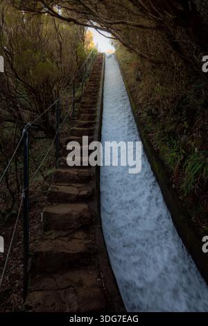 A narrow levada channel filled with cascading white water runs straight uphill beside rough stone steps in a forest tunnel on Madeira Island, Portugal Stock Photo