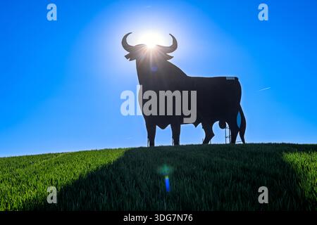 The sun sets spectacularly between the horns of an Osborne bull silhouette, standing proudly in the Seville province, Spain against a vivid blue sky. Stock Photo