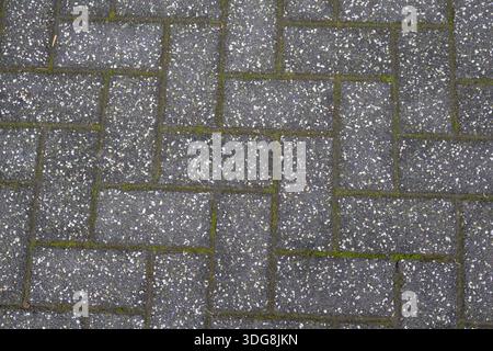 Gray concrete paving stone texture with rectangular pattern, white aggregate and moss between joints. Stock Photo