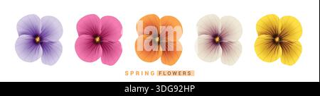 Spring Hibiscus flowers clipart set. Hibiscus Spring Flowers clip art in violet, pink, orange, white and yellow floral elements collection vector Stock Vector