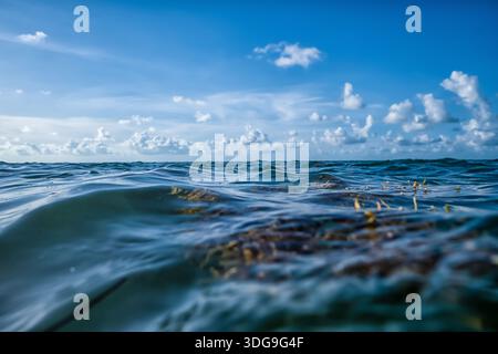 The ocean is calm and clear, with a few clouds in the sky. The water is a deep blue color, and the sky is a bright blue color Stock Photo