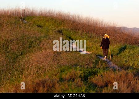 Hiker walking a narrow dirt trail through green hills at golden hour in Upper Las Virgenes Canyon Open Space Preserve, Los Angeles County, California. Stock Photo
