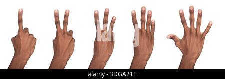 Hands counting 1. 2. 3. 4. 5. Fingers of African black man showing numbers for maths education, isolated on white background Stock Photo
