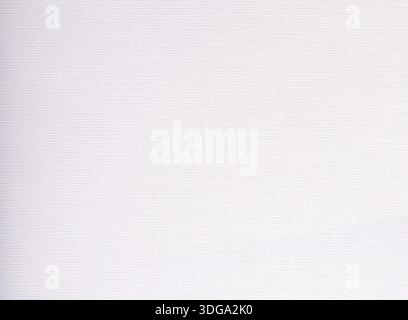 White texture paper background. Smooth plain surface with fine lines and soft detail in neutral off white tone. Minimal clean structure for document, Stock Photo