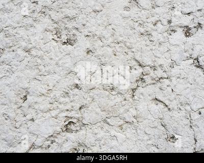 Fossil impression in weathered limestone of an old church wall. Suitable for background and text areas. Close-up. Copyspace. Stock Photo