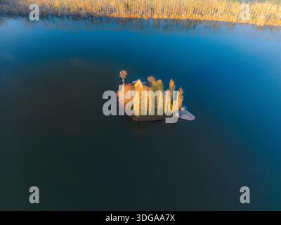 Aerial view of a small island with golden trees reflecting in the still, dark waters, framed by a distant line of trees, Chuisnes, Centre-Val de Loire Stock Photo