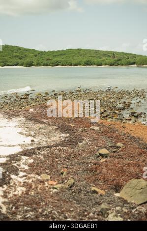 Beach pollution in puerto rico coast Stock Photo - Alamy