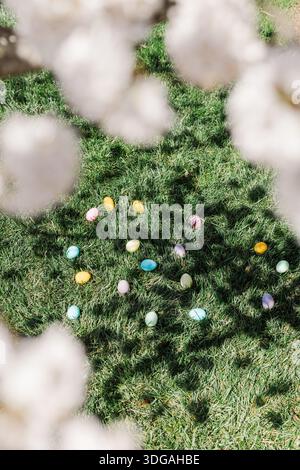 Easter eggs laying in green grass under cherry blossoms. Stock Photo