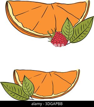 Fresh golden raspberry with green leaves and orange slice Vector Illustration silhouette icon on white background composition hand drawn illustration. Stock Vector