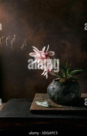 Beautiful pink magnolia flowers ikebana in round dark ceramic vase on wooden surface. Moody dark background still life composition artistic floral arr Stock Photo