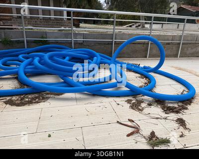 Blue pool hose coiled on patio surrounded by leaves and debris, outdoor maintenance concept. Mobile photo Stock Photo