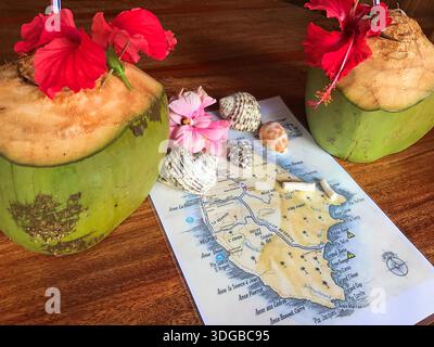 Two fresh young drinking coconuts decorated with a red tropical flower rest on a wooden table, with a map of Praslin Island placed between them. Stock Photo