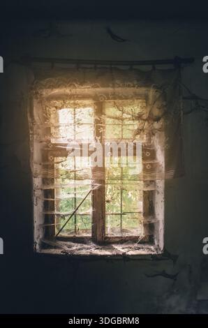 Abandoned old house with dusty window from inside, through which sunlight is filtering in. Cobwebs and dirty tulle with flies and insects in web. Stock Photo