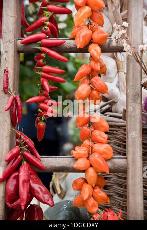 Various chilli and other peppers being dried up a ladder Stock Photo