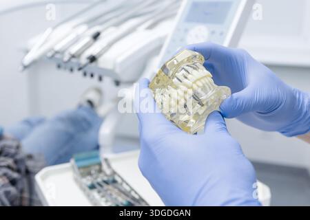 Close up of gloved hands showing jaw model with dental implants in clinic for consultation and restorative treatment planning Stock Photo