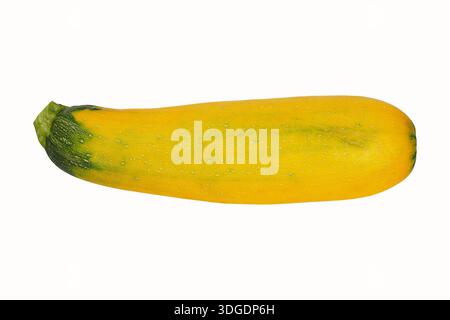 Fresh yellow zucchini on white background Stock Photo