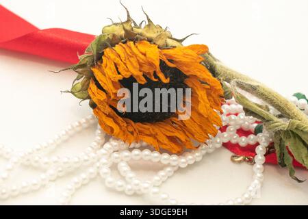 Dried sunflower with pearl necklace and red fabric conceptual still life Stock Photo