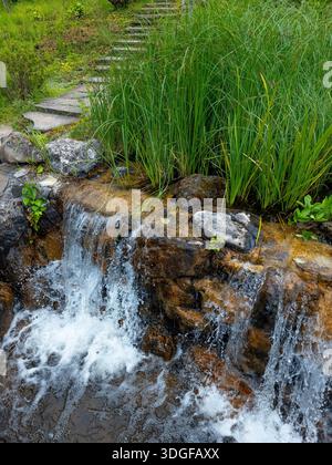 A close-up of a small artificial waterfall in a garden landscape, with water cascading over stone tiers, surrounded by vibrant green grass and lush pl Stock Photo