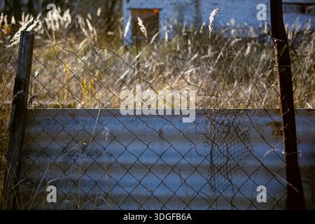 A close-up of a rusty, damaged chain-link fence over an old corrugated slate wall. Tall, dry grass is beautifully backlit by the sun in the soft, blur Stock Photo