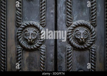 Close-up of an old, dark door with two ornate medallions. Each decorative element features a lion's head surrounded by a braided border. Stock Photo