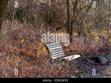 Lonely Wooden Bench in Quiet Autumn Forest. Stock Photo