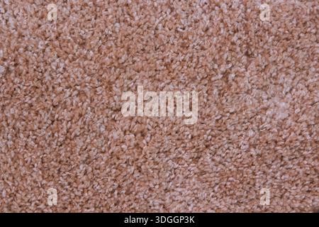 beige carpet for the bedroom Stock Photo