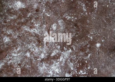 brown texture dough for biscuits with flour Stock Photo