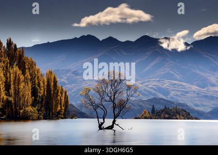 Lonely tree in Lake Wanaka against a picturesque mountain backdrop in autumn, Wanaka, Otago, New Zealand Stock Photo