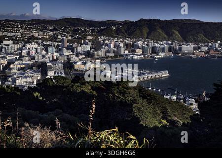 View from Mount Victoria Lookout over Wellington, the harbor and surrounding hills, Wellington, New Zealand Stock Photo