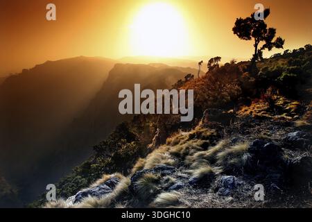 Dramatic sunset over a mountain landscape with tree, zero Stock Photo