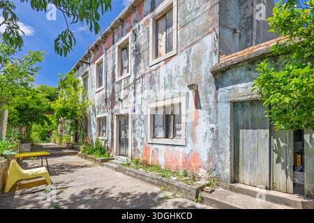 A sunlit courtyard beside a weathered, pastel-painted building. Overgrown plants frame worn doors and windows, creating a rustic, tranquil scene perfe Stock Photo