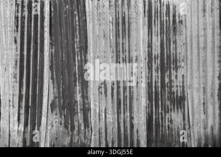 Front view of a rusty and weathered corrugated iron metal construction site wall in black and white. Full frame textured grunge rust background. Stock Photo