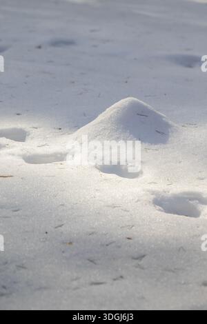 Close-up of a small snow mound and footprints in fresh, sparkling snow under bright sunlight. Long shadows highlight the texture, showing traces of re Stock Photo