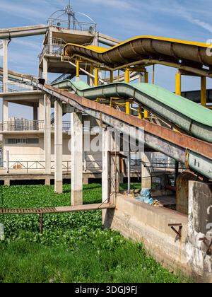 Side view of decaying water slides supported by concrete pillars. The pool below is completely covered in invasive green water hyacinth and weeds, ill Stock Photo