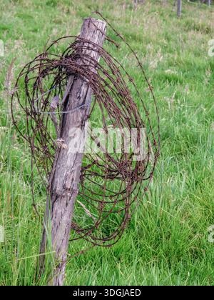 A rusty barbed wire coiled around a wooden post, in a farm in the eastern Andean mountains of central Colombia, near the Iguaque natural reserve. Stock Photo
