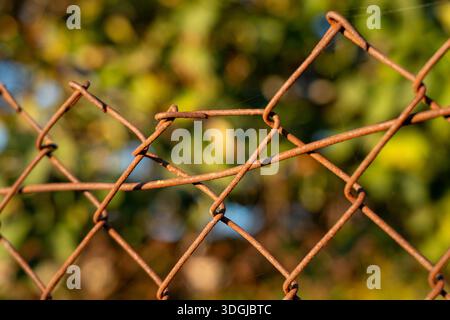 Golden Hour Light on a Rusty Wire Fence The Concept of Nostalgic Beauty Stock Photo