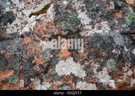 A vibrant close-up of orange-hued stone covered in green and white crustose lichen, highlighting natural biological patterns. Stock Photo