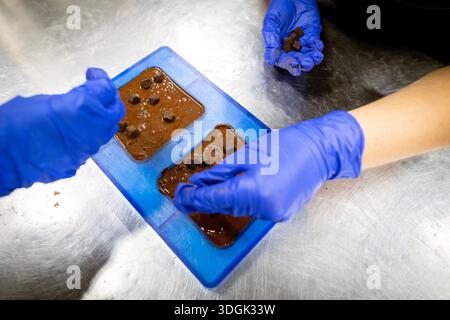 A high-angle view of chocolatiers in blue gloves making artisanal chocolate bars. They are adding small brownie cubes as an inclusion to the melted mi Stock Photo