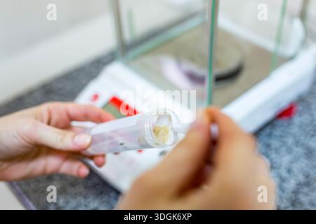 Close up view of a scientist hand using a spoon to fill a plastic test tube labeled potato with mashed raw vegetable pulp for chemical analysis in the Stock Photo