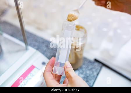 Close up view of a scientist hand using a spoon to fill a plastic test tube labeled potato with mashed raw vegetable pulp for chemical analysis in the Stock Photo