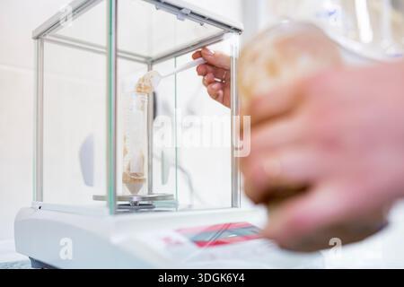 Close up view of a laboratory worker hand weighing mashed raw potato pulp sample in a plastic tube on an electronic balance scale for agricultural foo Stock Photo