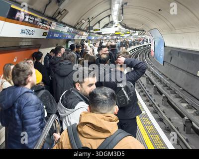 London, UK 16th January 2026. Commuters on a crowded Bakerloo Line platform at Waterloo Station navigate a major branding takeover by Heineken 0.0. The "Bakerl0.0" campaign features modified station signage, replacing "oo" with "0.0" to promote alcohol-free beer. The images capture the intersection of corporate marketing and daily public transport during the London rush hour.  Credit: Xiu Bao/Alamy Live News Stock Photo