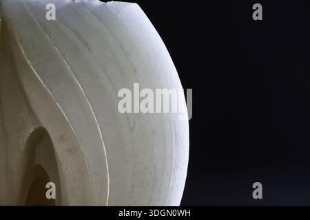 Fresh onion bulbs on black background. Bulb onion is rich vitamins, useful spring. Onion peel on a dark background. Raw sliced onions. Stock Photo