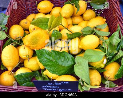 Market stall display of Portuguese lemons - Le Blanc, Indre (37), France. Stock Photo