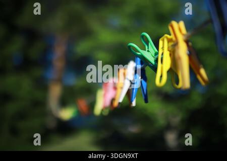 old pegs on a rope. One old retro clothespin wooden on a linen rope. Work on the house, washing, drying linen. Old Dirty Blue and Pink clothes peg on Stock Photo