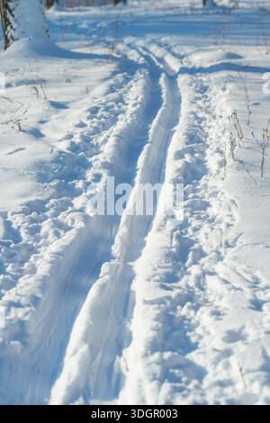 Ski track on fresh snow leading through park, single set of parallel grooves carved by commuter skier, early morning light casting long blue shadows, Stock Photo