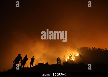Concepción, Chile – January 18, 2026: People watch as the flames of a wildfire advance, threatening to reach the city soon. A tragic preliminary toll confirms one death and 253 homes destroyed following uncontrolled wildfires in the commune. Driven by strong winds overnight, the flames rapidly reached urban sectors, also affecting the neighboring towns of Penco and Lirquén. Emergency crews are struggling to contain the disaster in the Biobío region as the fire consumes residential areas. (Photo: Carlos Acuña/ATON/UNAR AGENCY) Credit: /Alamy Live News Stock Photo