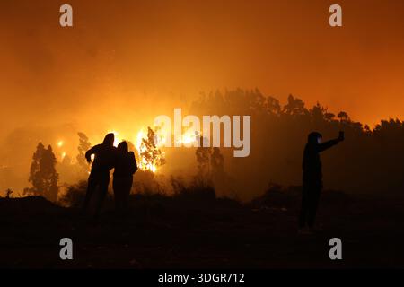 Concepción, Chile – January 18, 2026: People watch as the flames of a wildfire advance, threatening to reach the city soon. A tragic preliminary toll confirms one death and 253 homes destroyed following uncontrolled wildfires in the commune. Driven by strong winds overnight, the flames rapidly reached urban sectors, also affecting the neighboring towns of Penco and Lirquén. Emergency crews are struggling to contain the disaster in the Biobío region as the fire consumes residential areas. (Photo: Carlos Acuña/ATON/UNAR AGENCY) Credit: /Alamy Live News Stock Photo