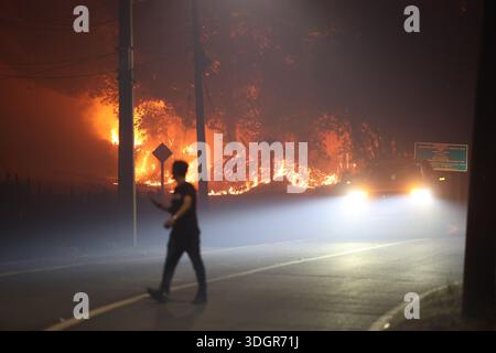 Concepción, Chile – January 18, 2026: People watch as the flames of a wildfire advance, threatening to reach the city soon. A tragic preliminary toll confirms one death and 253 homes destroyed following uncontrolled wildfires in the commune. Driven by strong winds overnight, the flames rapidly reached urban sectors, also affecting the neighboring towns of Penco and Lirquén. Emergency crews are struggling to contain the disaster in the Biobío region as the fire consumes residential areas. (Photo: Carlos Acuña/ATON/UNAR AGENCY) Credit: /Alamy Live News Stock Photo